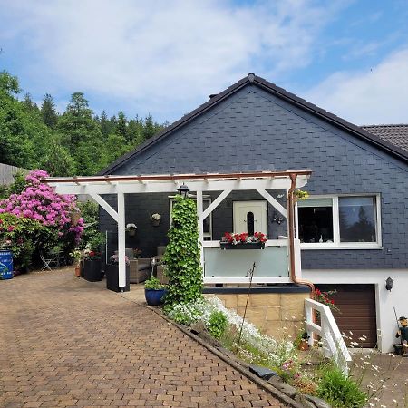 Gaestezimmer Haus Talblick Lautenthal エクステリア 写真
