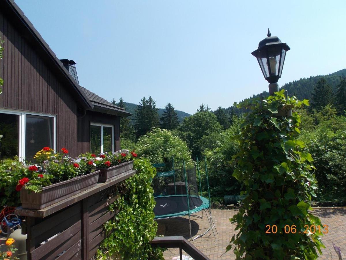 Gaestezimmer Haus Talblick Lautenthal エクステリア 写真
