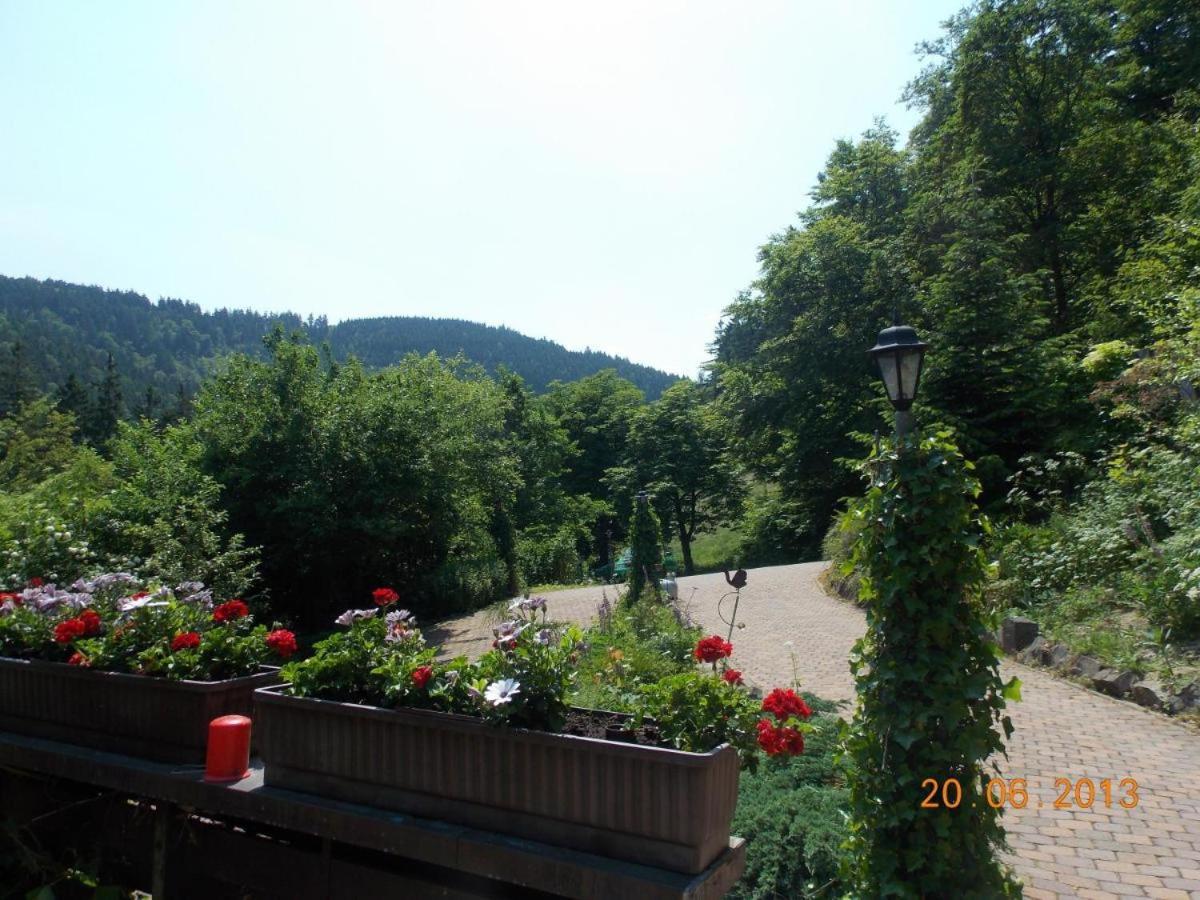 Gaestezimmer Haus Talblick Lautenthal エクステリア 写真