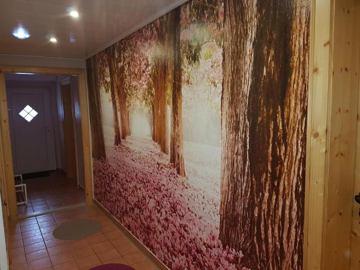 Gaestezimmer Haus Talblick Lautenthal エクステリア 写真