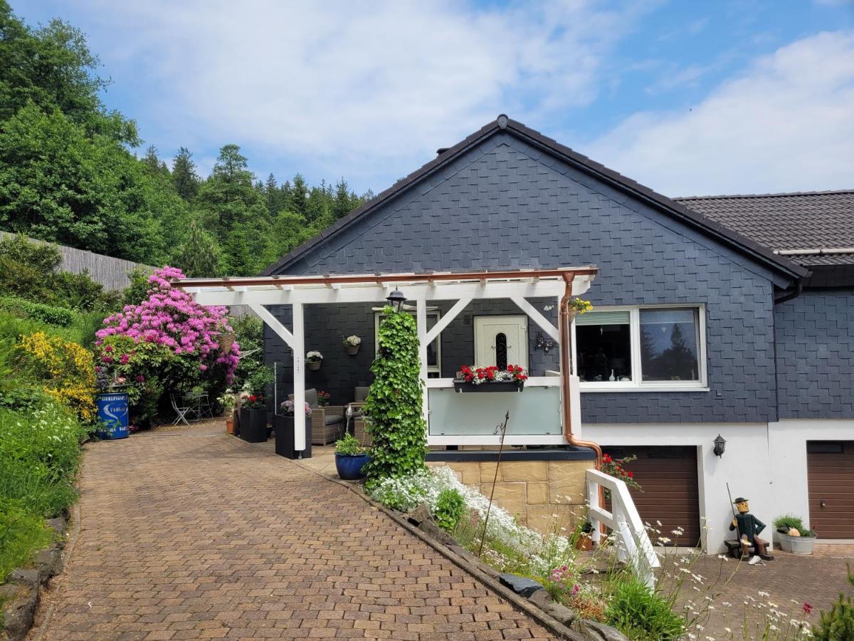 Gaestezimmer Haus Talblick Lautenthal エクステリア 写真