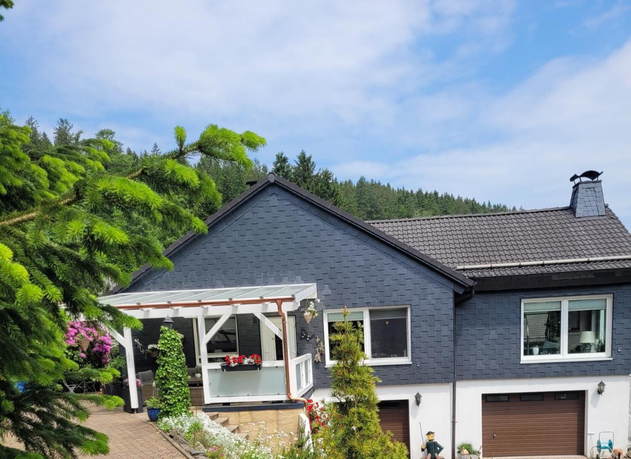 Gaestezimmer Haus Talblick Lautenthal エクステリア 写真