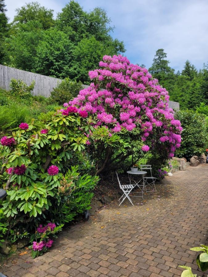 Gaestezimmer Haus Talblick Lautenthal エクステリア 写真