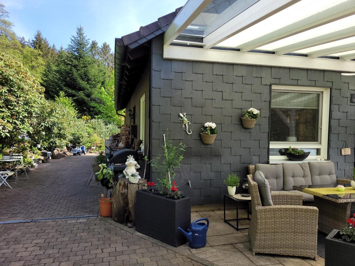 Gaestezimmer Haus Talblick Lautenthal エクステリア 写真