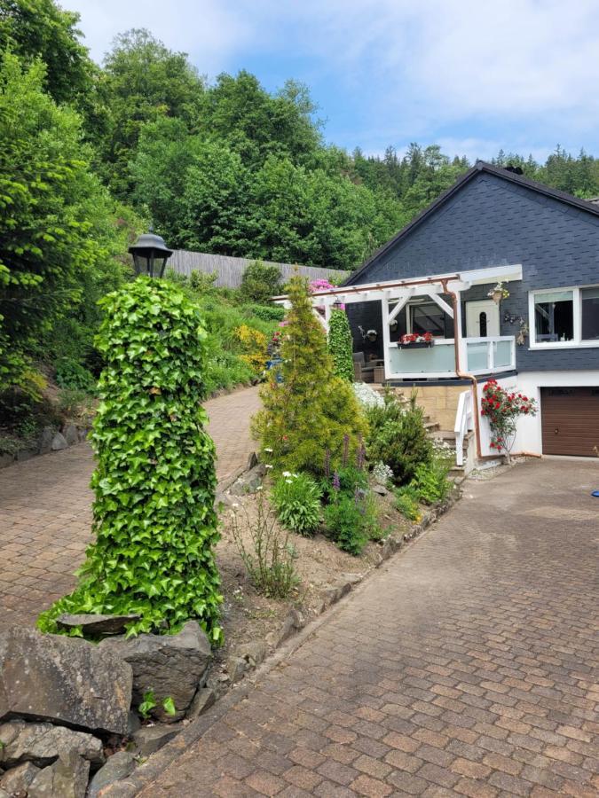 Gaestezimmer Haus Talblick Lautenthal エクステリア 写真